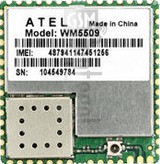 IMEI Check ATEL WM5509 on imei.info