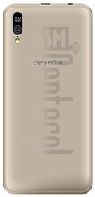 imei.infoのIMEIチェックCHERRY MOBILE Flare Y6