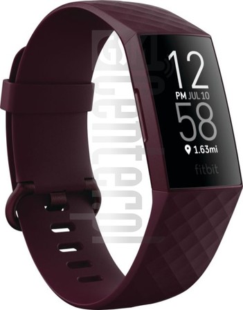 IMEI चेक FITBIT Charge 4 imei.info पर