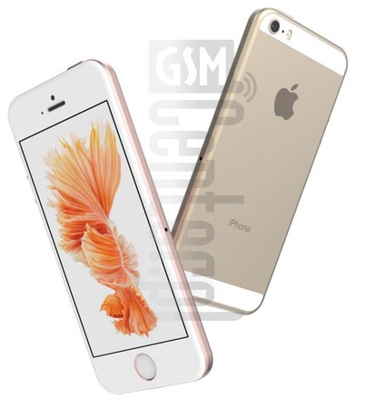APPLE iPhone SE Specification 