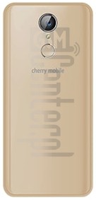 IMEI Check CHERRY MOBILE Flare P3 on imei.info
