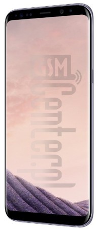 Проверка IMEI SAMSUNG G955F Galaxy S8+ на imei.info