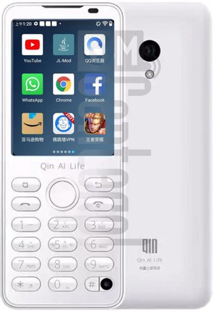 IMEI Check QIN F21 Pro on imei.info