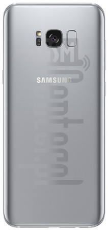 Controllo IMEI SAMSUNG G955F Galaxy S8+ su imei.info