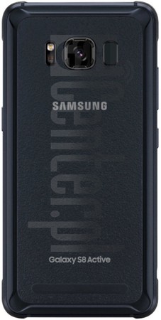 IMEI Check SAMSUNG G892A S8 Active on imei.info