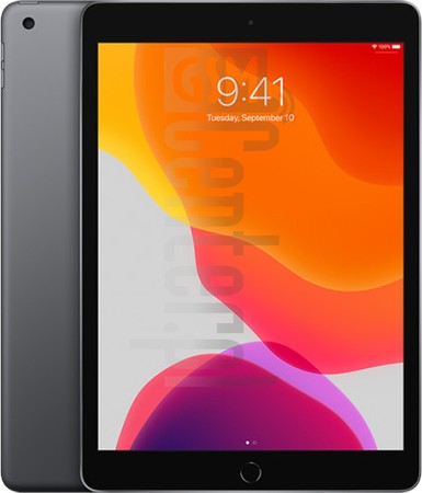imei.infoのIMEIチェックAPPLE iPad 7 Wi-Fi + Cellular