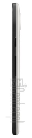 LG Nexus 5X International H791 Specification - IMEI.info