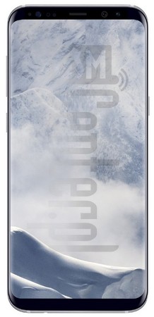 Проверка IMEI SAMSUNG G955F Galaxy S8+ на imei.info