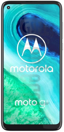 IMEI Check MOTOROLA Moto G8 on imei.info