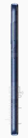 Pemeriksaan IMEI SAMSUNG Galaxy S9 Exynos di imei.info