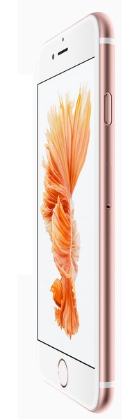 確認用　iphone6s フォックスコン従業員からのリーク:iPhone 6sのIMEIは背面に印刷
