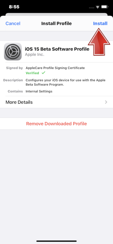 Как поставить бета версию ios 18. Как поставить бета версию ios 18