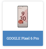 Google Piksel 6 Pro